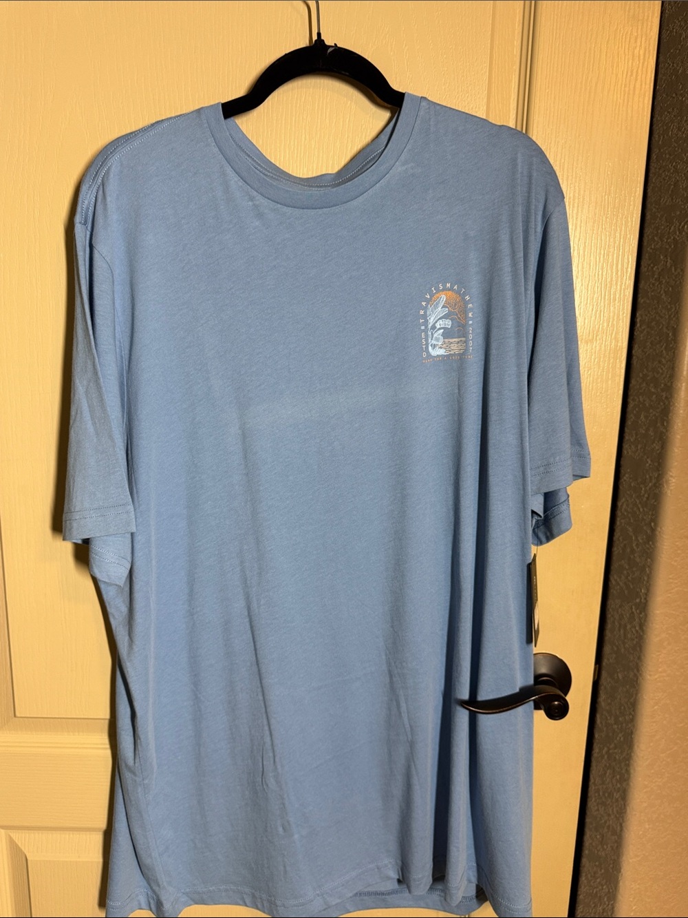 Men's Light Blue Short-Sleeve Graphic T-Shirt XXXL